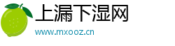 上漏下湿网